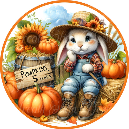 round metal sublimated wreath sign, Fall scarecrow rabbit center wreath attachment, pumpkin sign