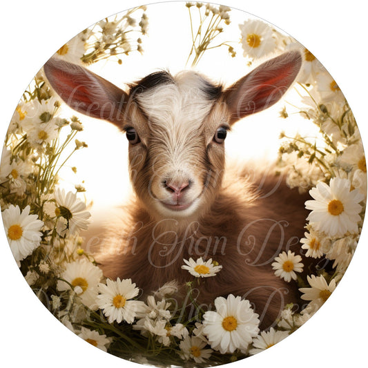 welcome sign, baby brown goat, Daisies, baby goat, Wreath Center, Wreath Attachment  Metal Sign,